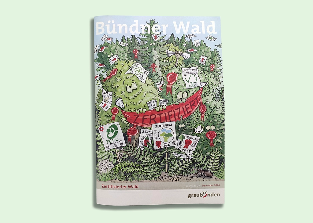 Illustration zertifizierter Wald für Bündner Wald.