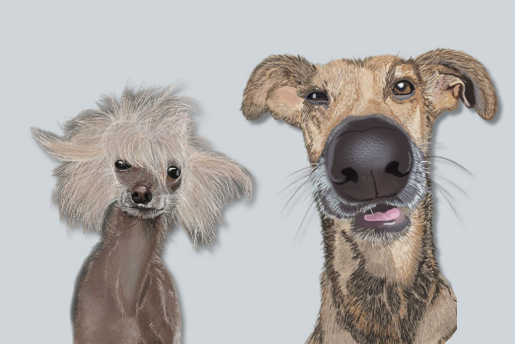 Tierporträt von zwei verschiedenen Hunderassen als personalisierte Illustration